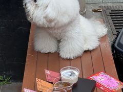 -无牌咖啡&酒馆