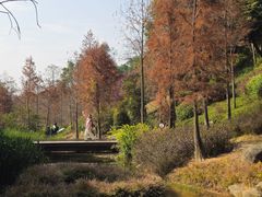 -云溪植物园