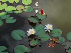 -朱家花园