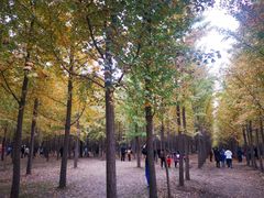 -汉景帝阳陵博物院