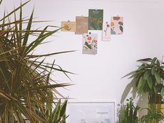 -隹木咖啡馆(宝龙广场店)