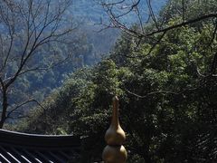 -韬光茶庵