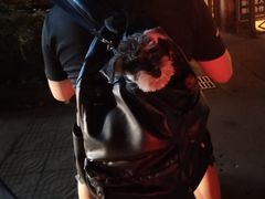 -汪喵宠物医院·骨科心脏影像·犬猫急重症ICU诊疗中心(成华分院)