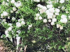 -三锐体育游泳中心
