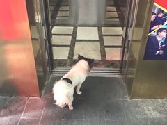 -昇记肠粉王(福华路店)