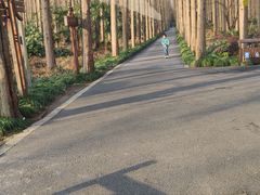 -上海怡沁园度假酒店
