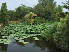 -日照海滨国家森林公园
