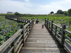 -鄱阳湖国家湿地公园