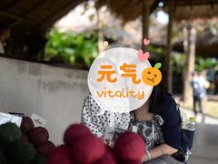 -大象粑粑造纸公园