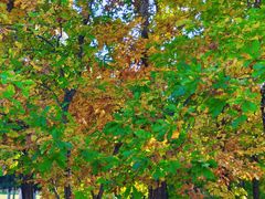 -长春世界雕塑园冰雪艺术天地