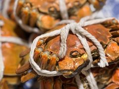 -呼吸森林·生态农庄农家乐私房菜