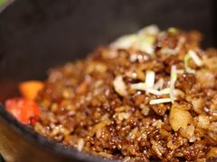 焖饭-回到森林计划