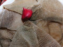 -重庆袁老四火锅(武进万达店)