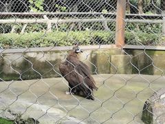 -南昌动物园