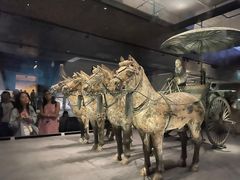 -秦始皇帝陵博物院-丽山园