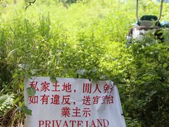 -南丫岛