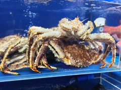 -鹊华居·地道鲁菜·海鲜·融合味(大明湖店)