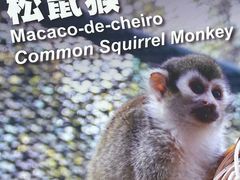-石排湾郊野公园