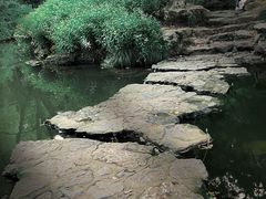 -杭州植物园