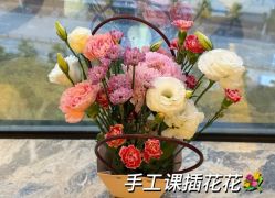 -臻康乃馨月子中心(集美店)