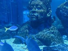 -暹罗海洋世界
