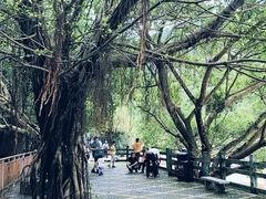 -四会奇石河风景区