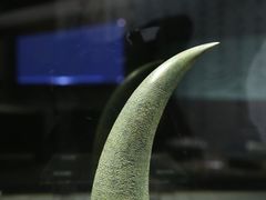 -柳州博物馆