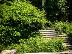 -国家植物园南园