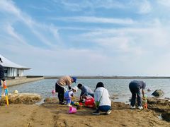 -碧海金沙