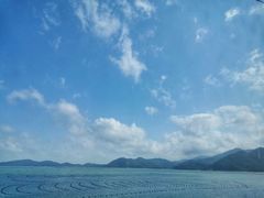 -台山川岛旅游度假区