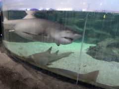 -鸿通城购物中心