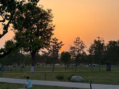 -汉长安城未央宫国家考古遗址公园