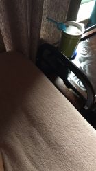 -虎杖传说·还元生活馆