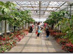 iphone_upload_pic-水镜湖