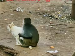 -昆明动物园