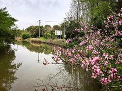 -上海怡沁园度假酒店