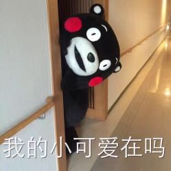 -PLURECIL日本普洛莱茜尔美睫美甲