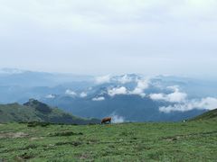 -灵山