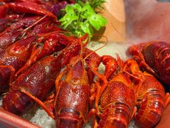 -杨氏青龙虾·羊蝎子(珠江路店)