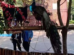 -石家庄市动物园