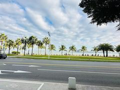 -濠轩阁特色生蚝火锅(水湾路店)