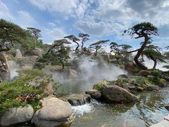 -罗红摄影艺术馆