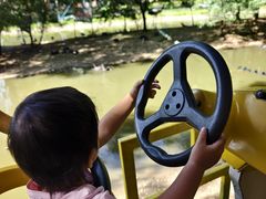 -长白岛森林公园