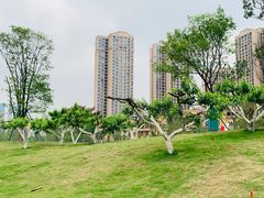 -府河摄影公园