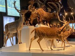 -贝林大翅鲸简餐厅(国家海洋博物馆店)