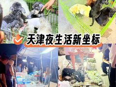 -中环花鸟鱼虫市场