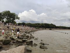 -深圳湾公园(南山区)