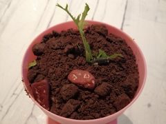 -堂会·KTV·自助餐·团建聚会(天河店)