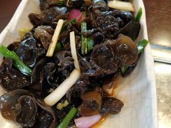木耳-亿诣蝎府炸酱面羊蝎子火锅(酷车小镇店)