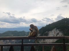 -重庆云阳龙缸景区